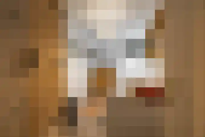 Fongersplaats 127 Groningen thumbnail 31