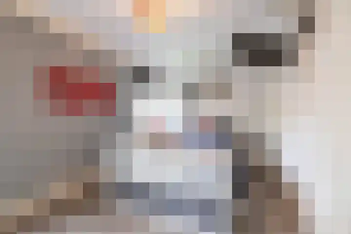 Fongersplaats 127 Groningen thumbnail 35