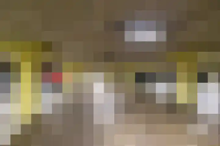 Fongersplaats 127 Groningen thumbnail 42