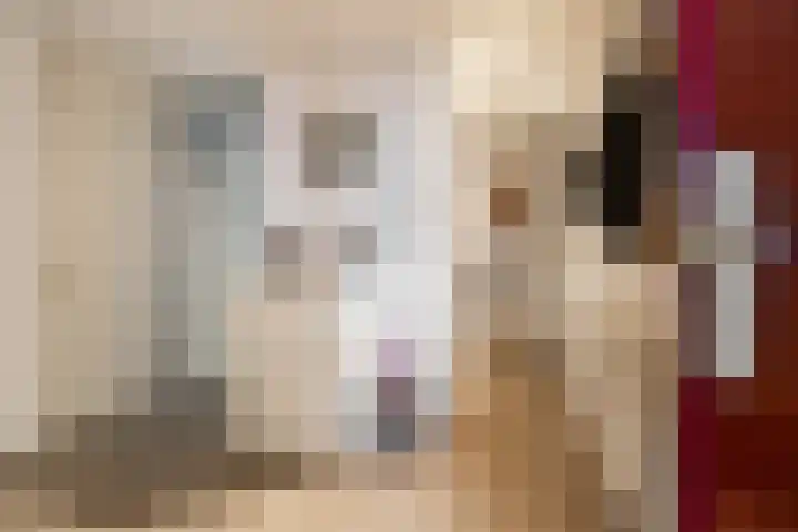 Fongersplaats 127 Groningen thumbnail 9