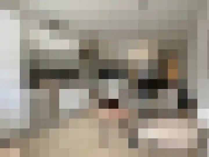 Fongersplaats 14 Groningen thumbnail 11