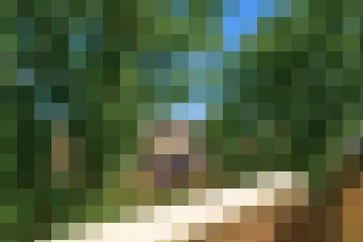 Fongersplaats 14 Groningen thumbnail 13