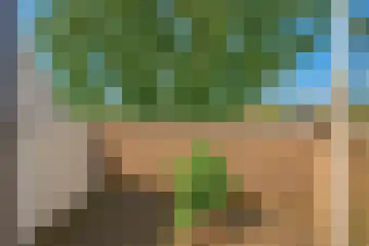 Fongersplaats 14 Groningen thumbnail 17
