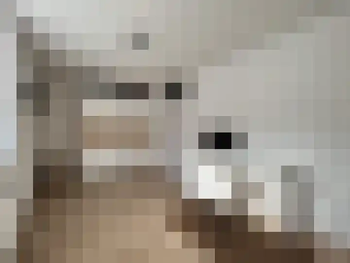 Fongersplaats 14 Groningen thumbnail 19