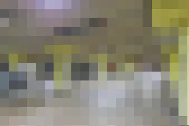 Fongersplaats 14 Groningen thumbnail 21