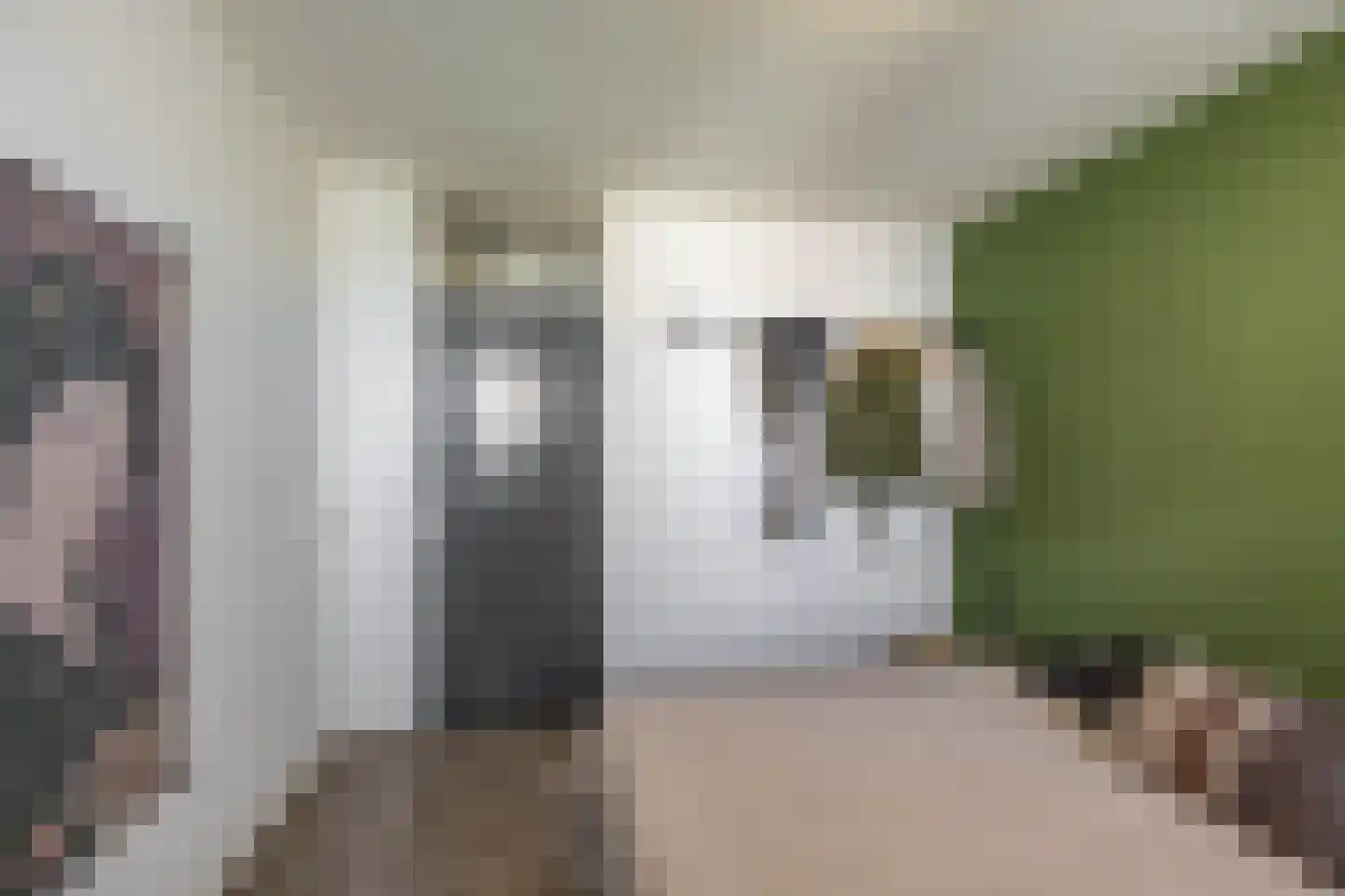 Fongersplaats 159 Groningen thumbnail 17