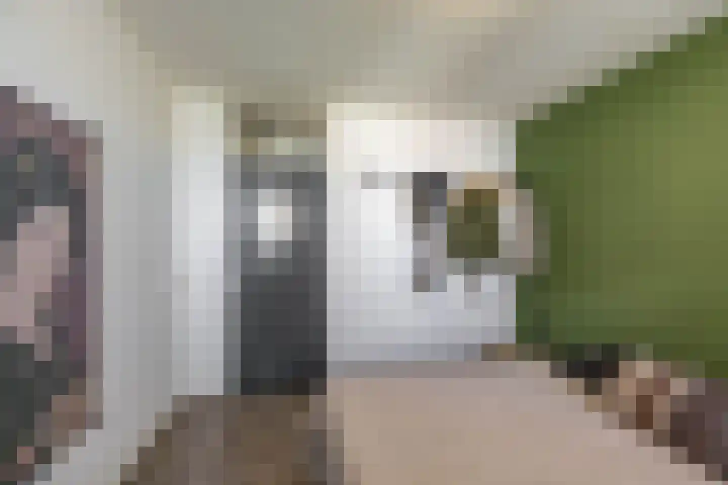 Fongersplaats 159 Groningen thumbnail 17