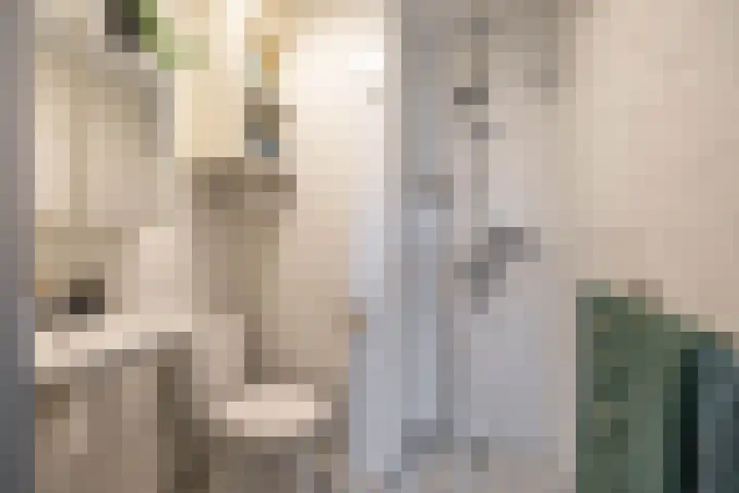 Fongersplaats 159 Groningen thumbnail 18