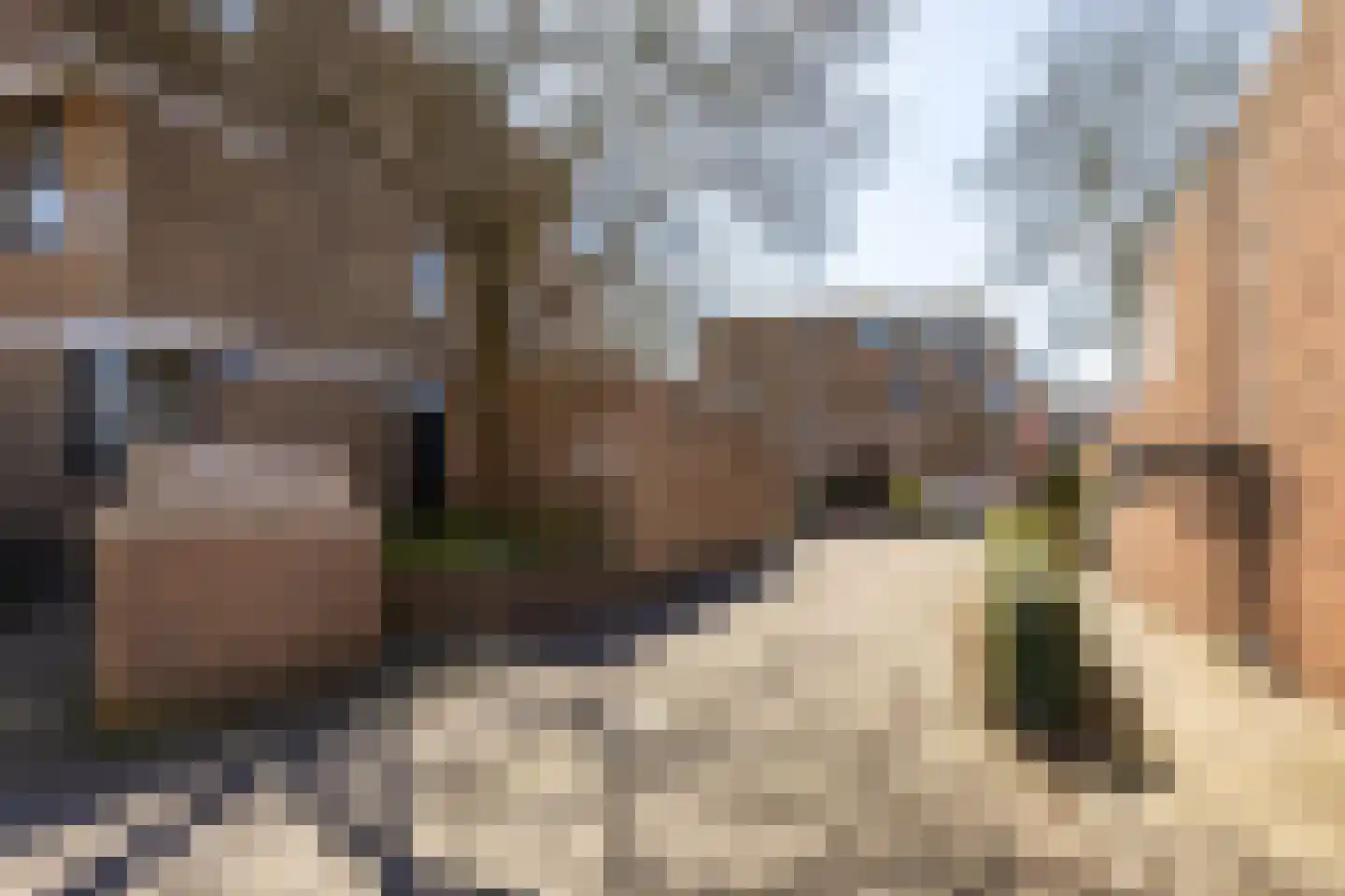 Fongersplaats 159 Groningen thumbnail 21