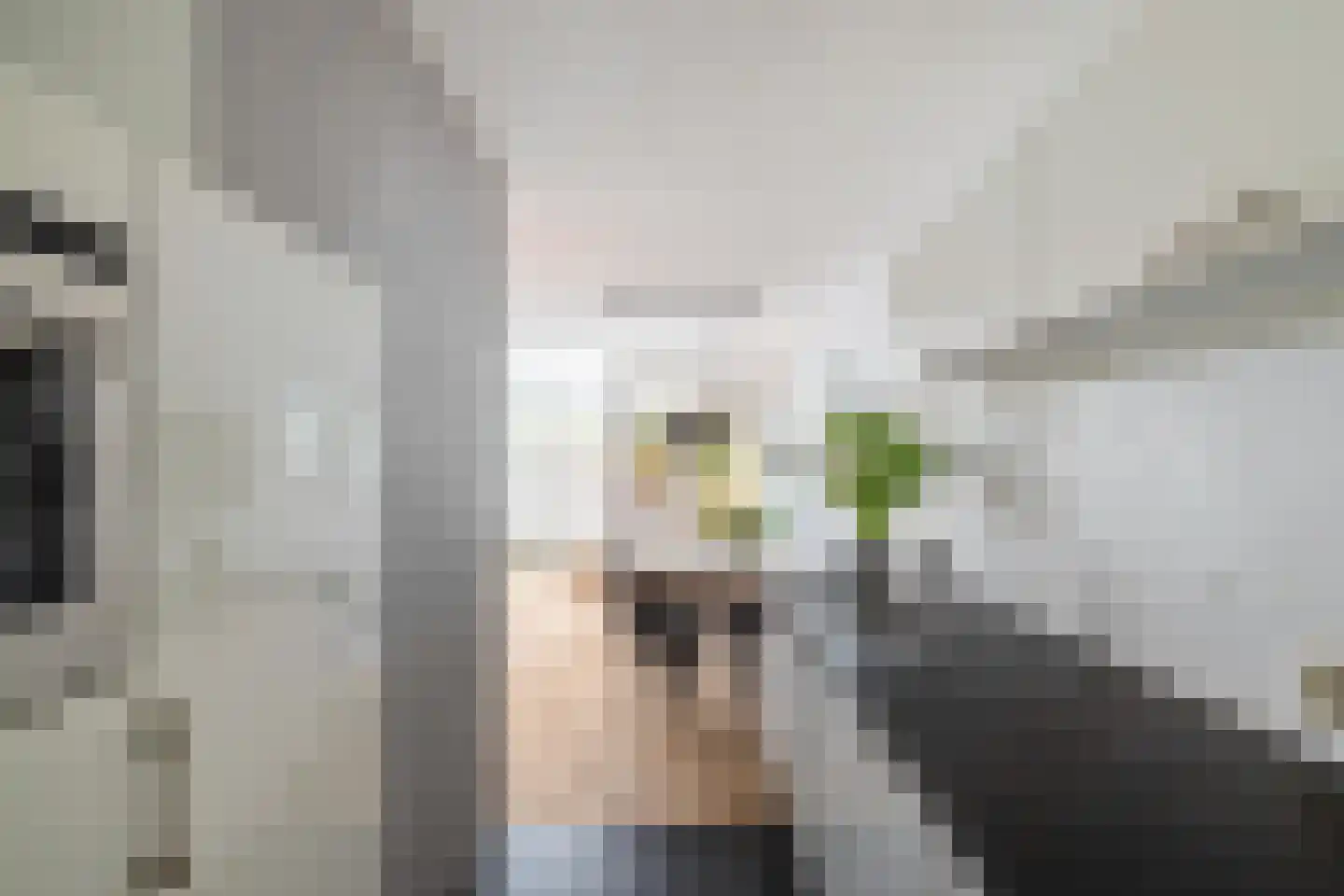 Fongersplaats 180 Groningen thumbnail 17
