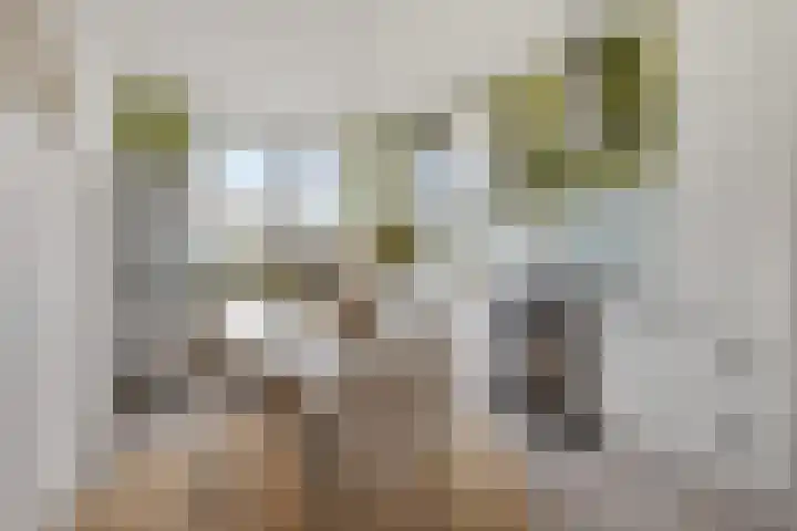 Fongersplaats 191 Groningen thumbnail 20