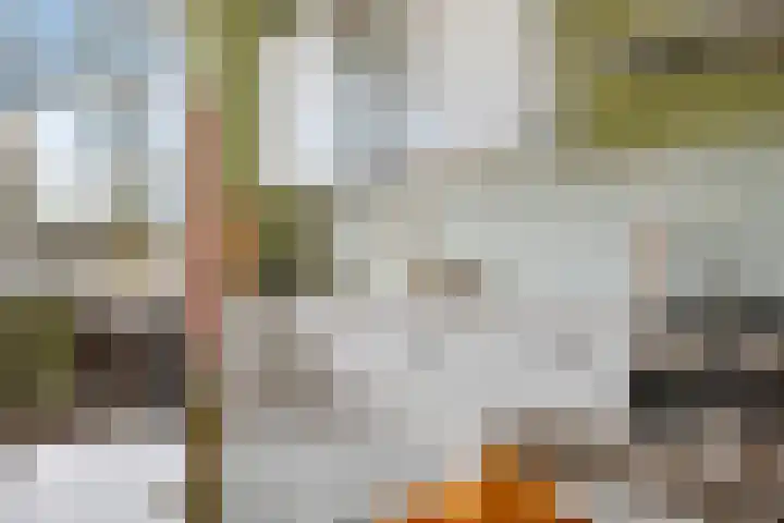 Fongersplaats 191 Groningen thumbnail 24