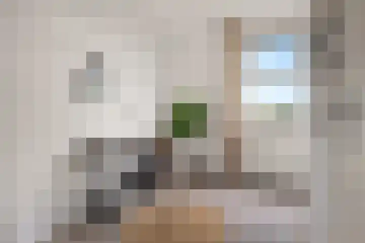 Fongersplaats 191 Groningen thumbnail 29