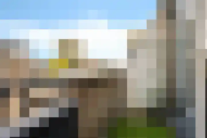 Fongersplaats 191 Groningen thumbnail 33