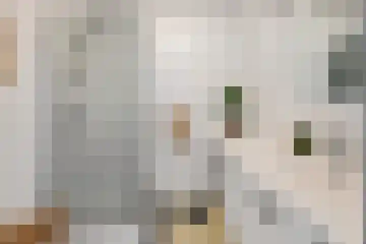 Fongersplaats 191 Groningen thumbnail 40