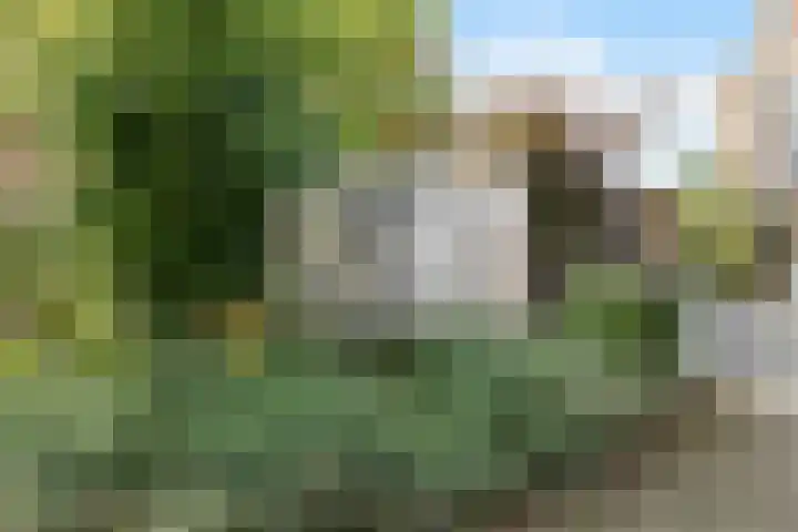 Fongersplaats 191 Groningen thumbnail 46