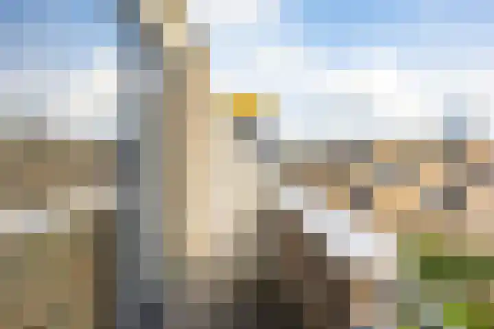Fongersplaats 192 Groningen thumbnail 26