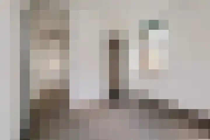 Fongersplaats 28 Groningen thumbnail 30