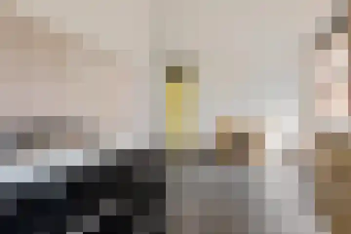 Fongersplaats 28 Groningen thumbnail 35
