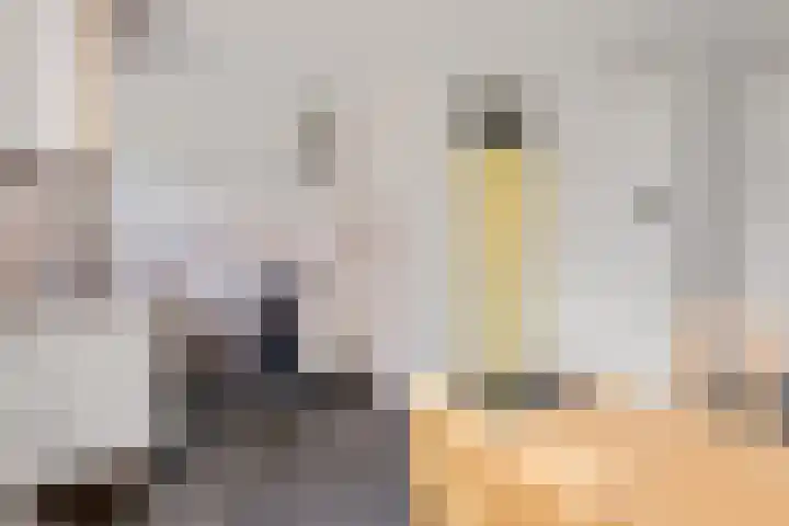 Fongersplaats 28 Groningen thumbnail 36