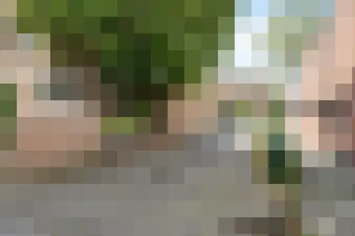 Fongersplaats 28 Groningen thumbnail 5