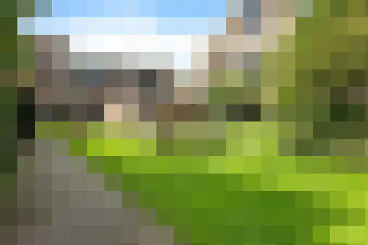 Fongersplaats 28 Groningen thumbnail 9