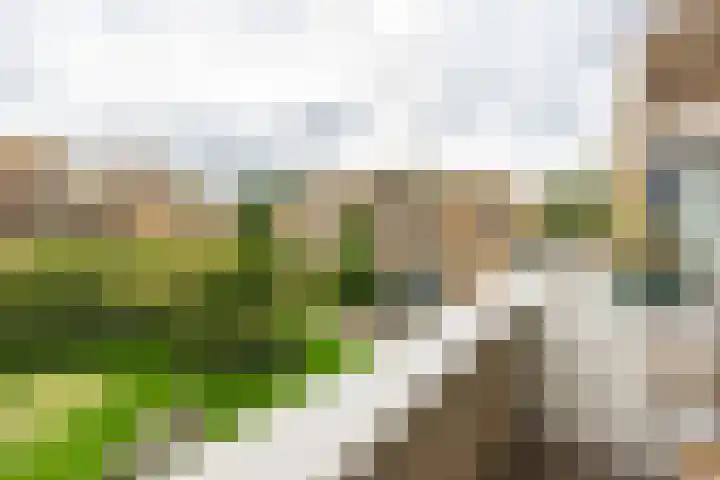 Fongersplaats 39 Groningen thumbnail 23