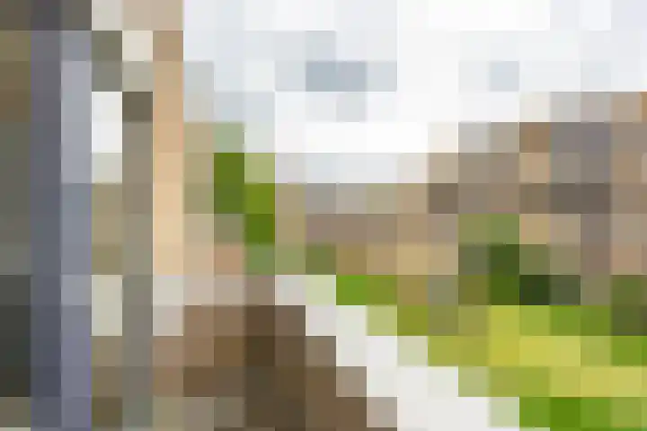 Fongersplaats 39 Groningen thumbnail 24