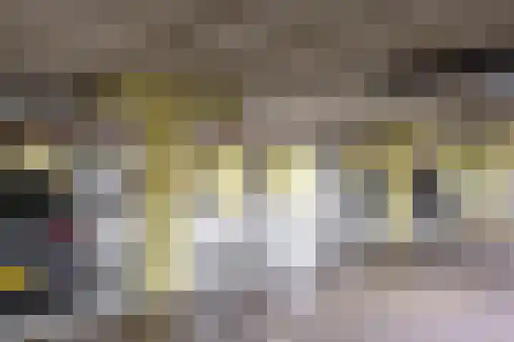 Fongersplaats 39 Groningen thumbnail 33