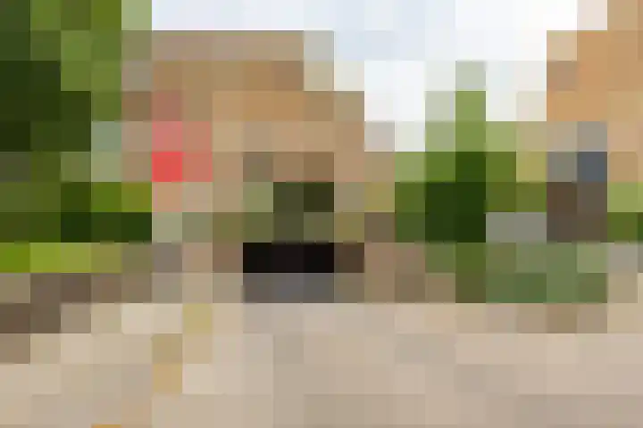 Fongersplaats 39 Groningen thumbnail 37