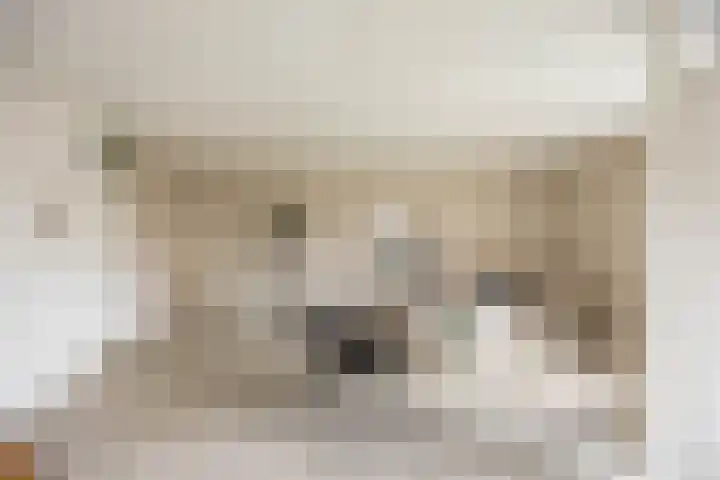 Fongersplaats 41 Groningen thumbnail 12