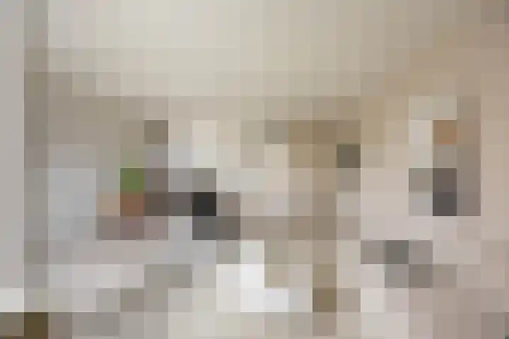 Fongersplaats 41 Groningen thumbnail 14