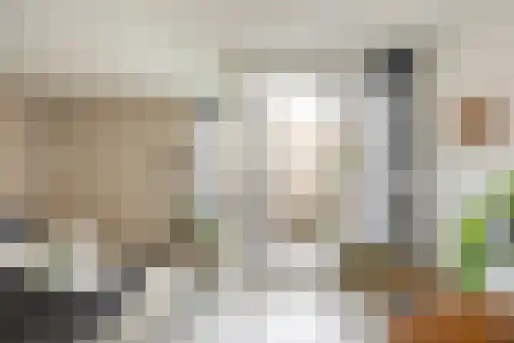 Fongersplaats 41 Groningen thumbnail 18
