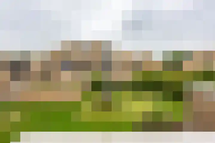 Fongersplaats 41 Groningen thumbnail 20