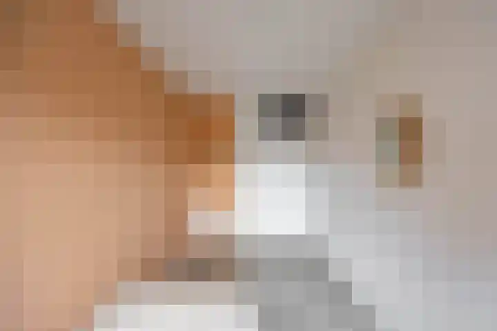 Fongersplaats 41 Groningen thumbnail 24