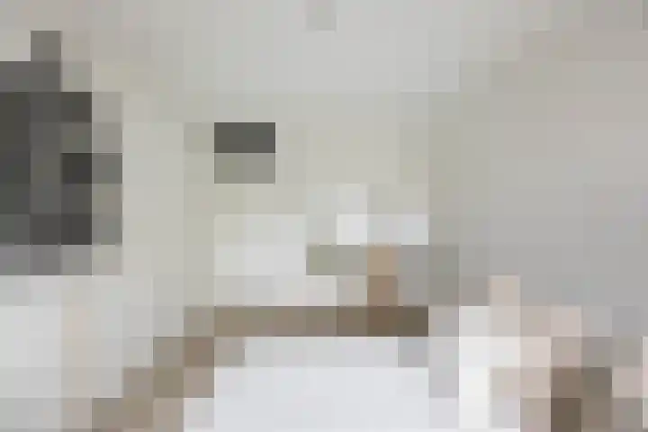 Fongersplaats 41 Groningen thumbnail 26