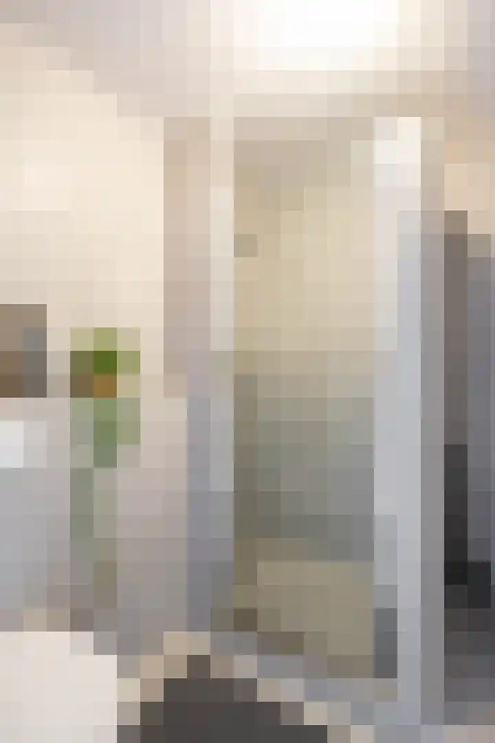 Fongersplaats 41 Groningen thumbnail 30