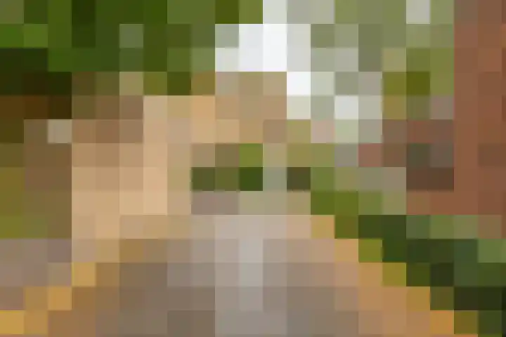Fongersplaats 41 Groningen thumbnail 31