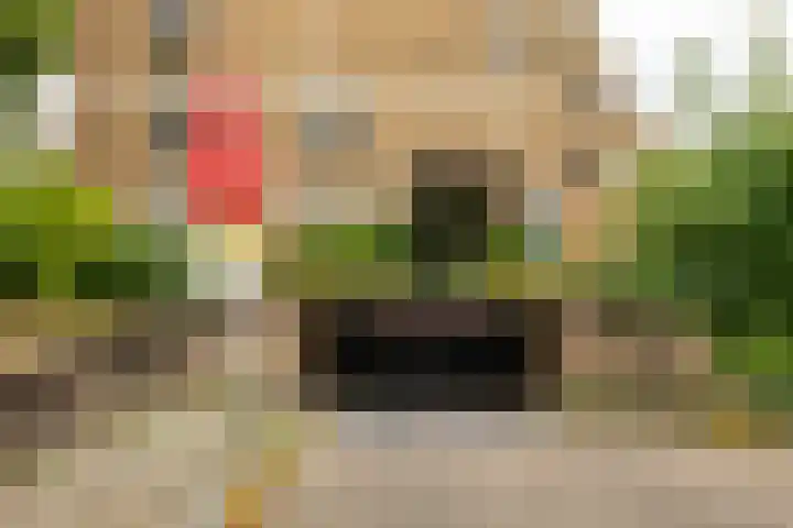 Fongersplaats 41 Groningen thumbnail 32