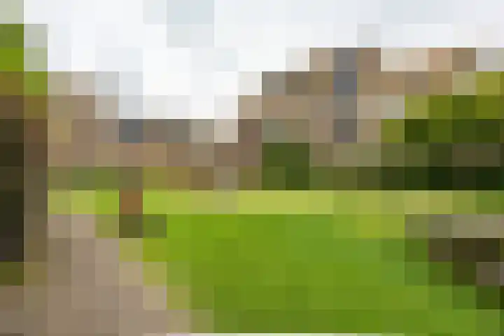 Fongersplaats 41 Groningen thumbnail 33
