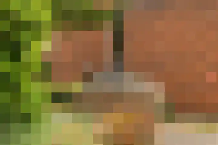 Fongersplaats 41 Groningen thumbnail 5