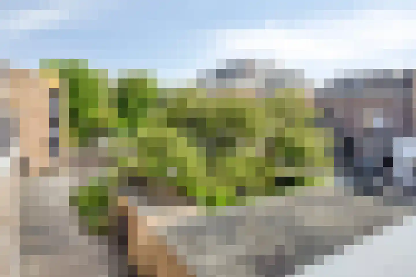 Fongersplaats 48 Groningen thumbnail 35