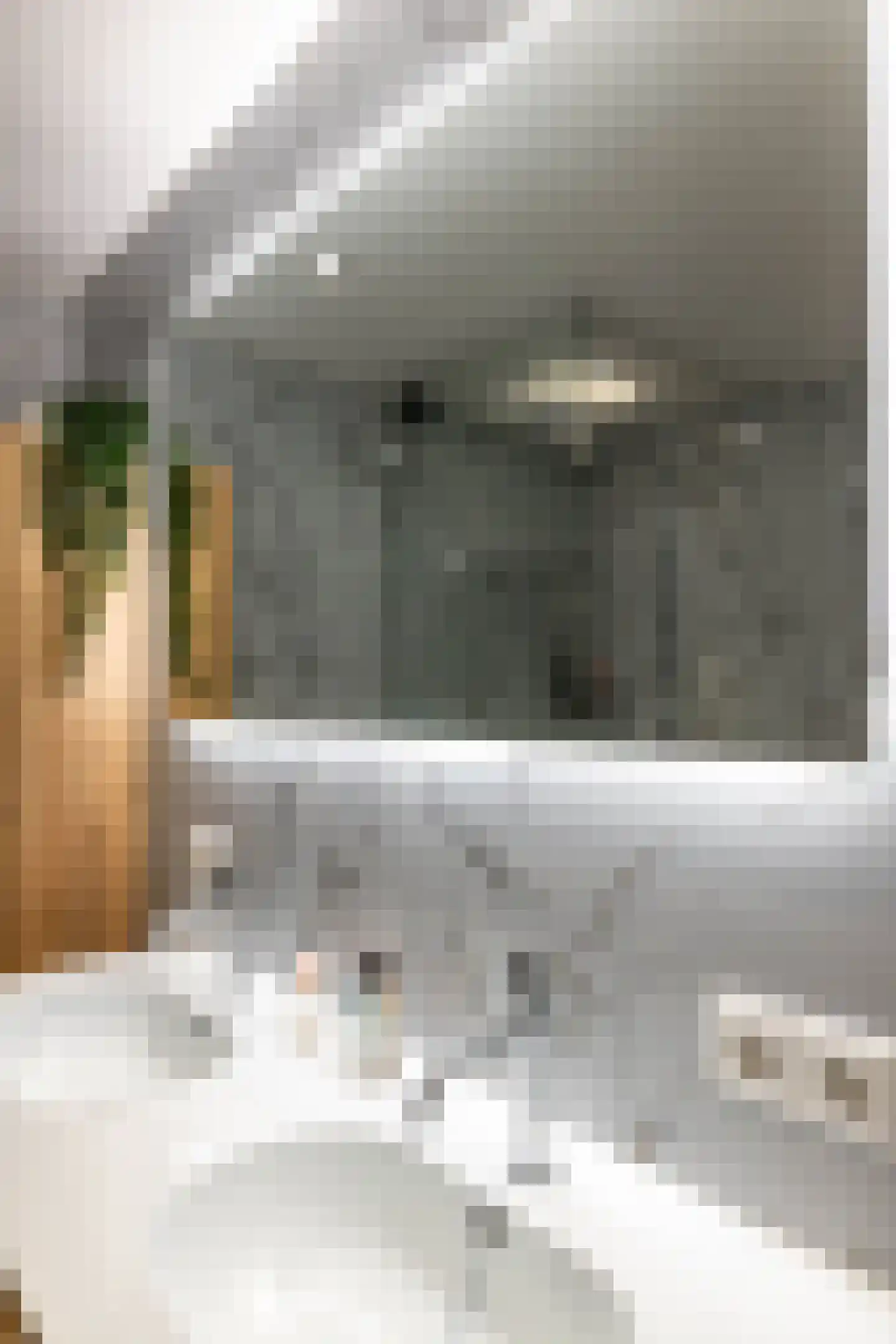 Fongersplaats 64 Groningen thumbnail 26
