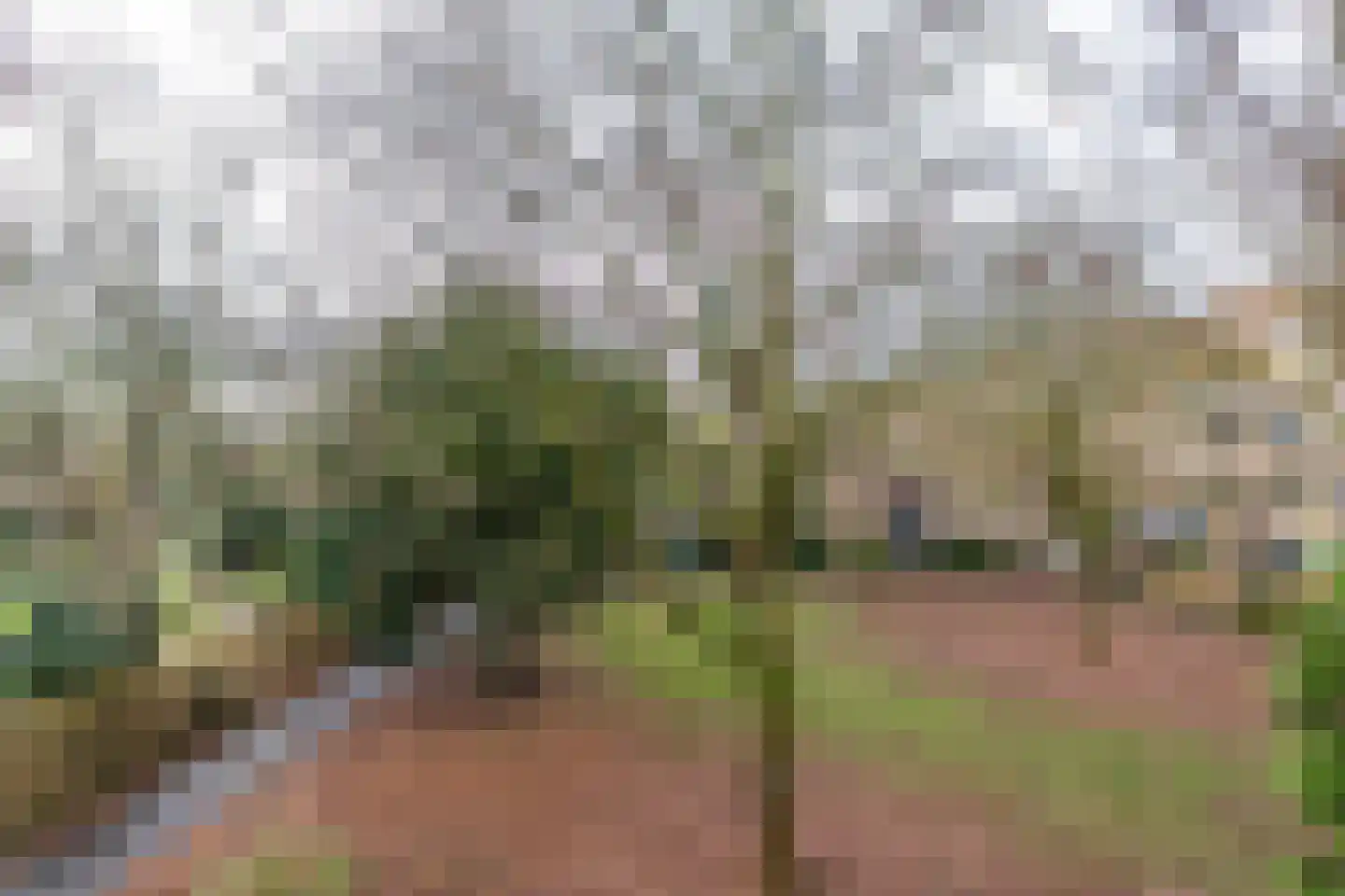 Fongersplaats 64 Groningen thumbnail 34