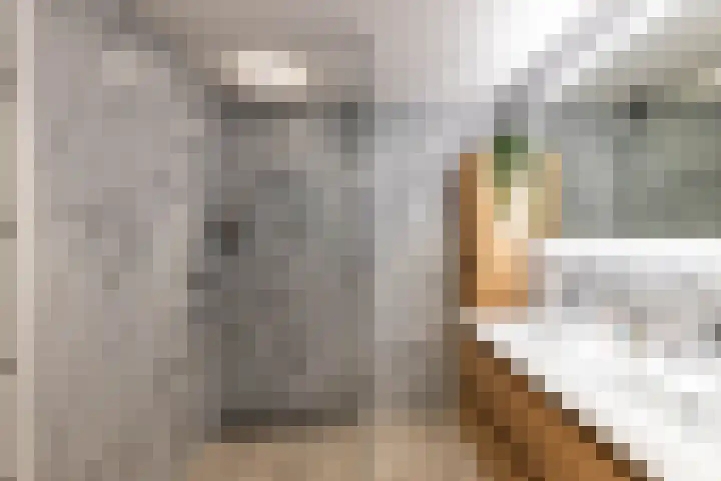 Fongersplaats 64 Groningen thumbnail 4