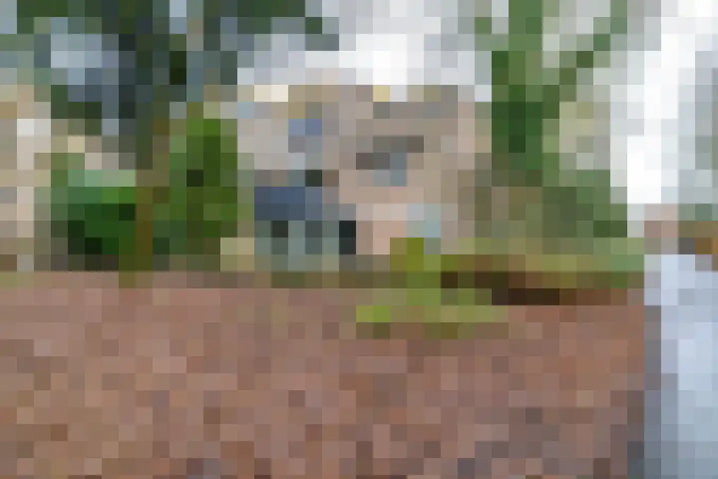Fongersplaats 64 Groningen thumbnail 40
