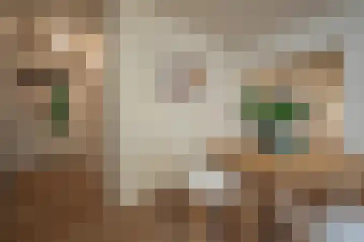 Fongersplaats 75 Groningen thumbnail 12