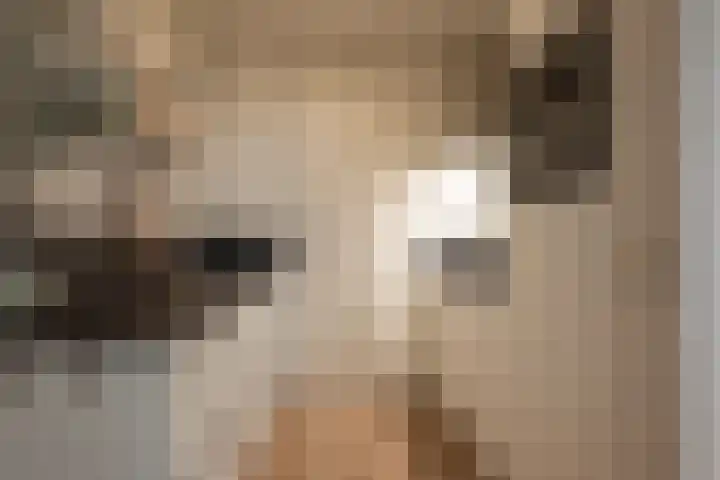 Fongersplaats 75 Groningen thumbnail 19