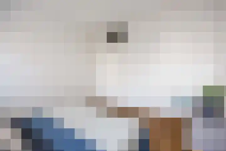 Fongersplaats 78 Groningen thumbnail 21