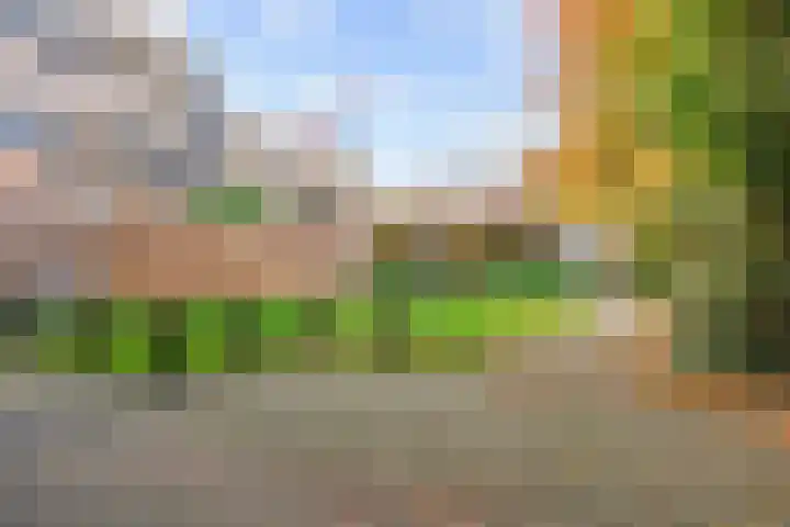 Fongersplaats 78 Groningen thumbnail 26